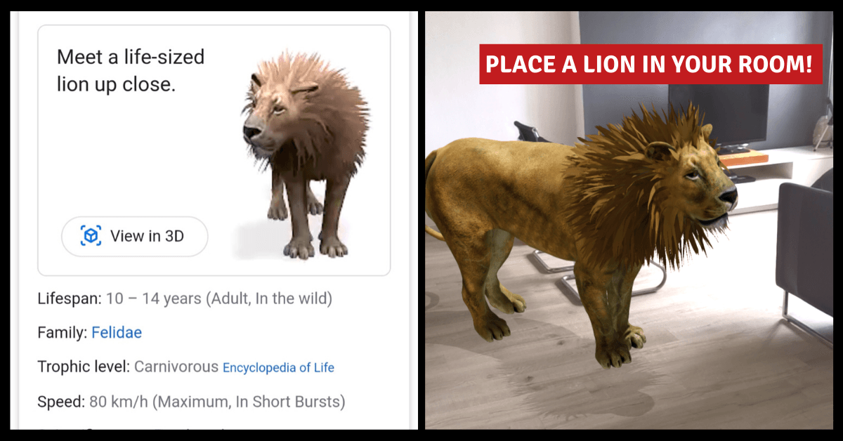 Google 3D, Bring Wild Animals Home