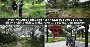 Newly-Opened Bidadari Park Features Scenic Spots, Birdwatching Hides, Trails, A Nature Playgarden & More!