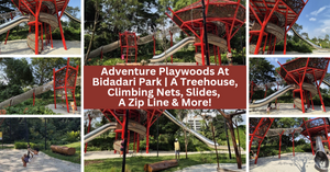 Adventure Playwoods At Bidadari Park | A Nature-Inspired Playground Featuring A Treehouse, Climbing Nets, Slides, A Zip Line And More!