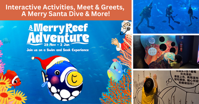 Embark On A Merry Reef Adventure At S.E.A. Aquarium This Holiday Season