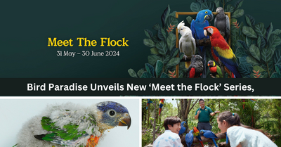 Bird Paradise Unveils New Series, Meet the Flock, Spotlighting A Different Avian Species Each Month