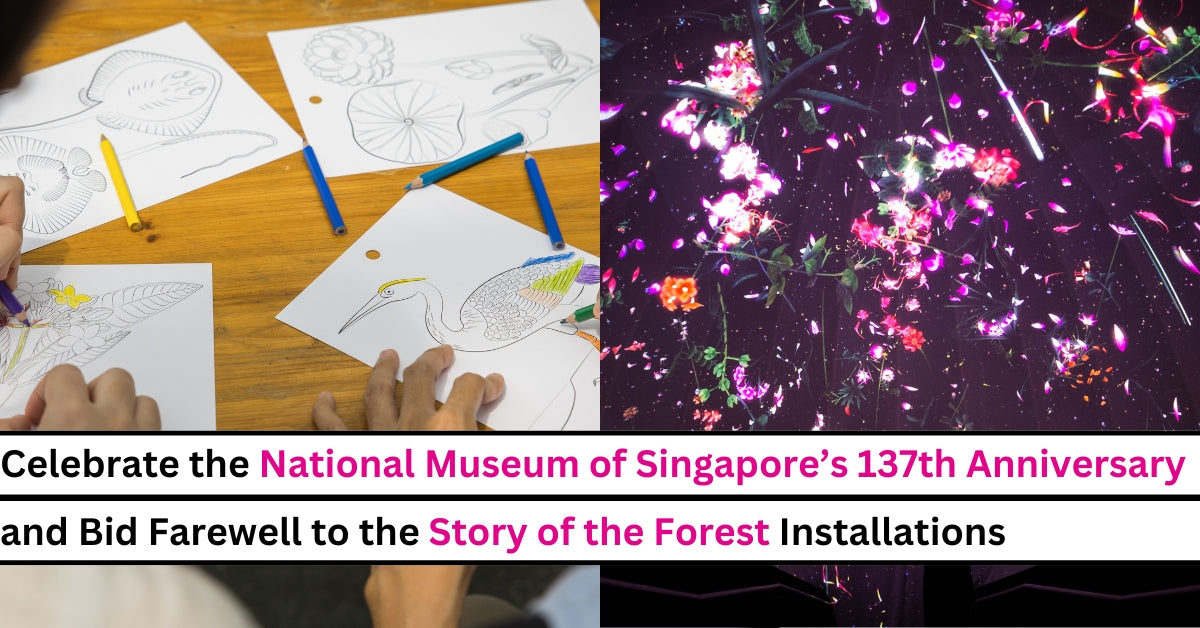 Celebrate the National Museum of Singapore’s 137th Anniversary & Bid Farewell to the Popular Story of the Forest Installation