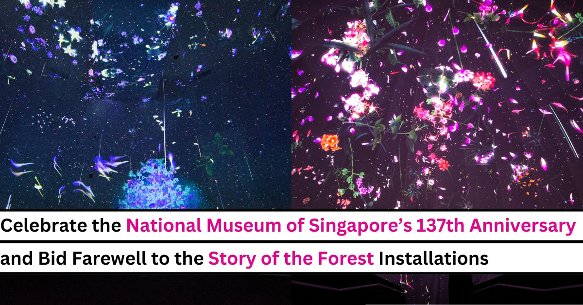 Celebrate the National Museum of Singapore’s 137th Anniversary & Bid Farewell to the Popular Story of the Forest Installation