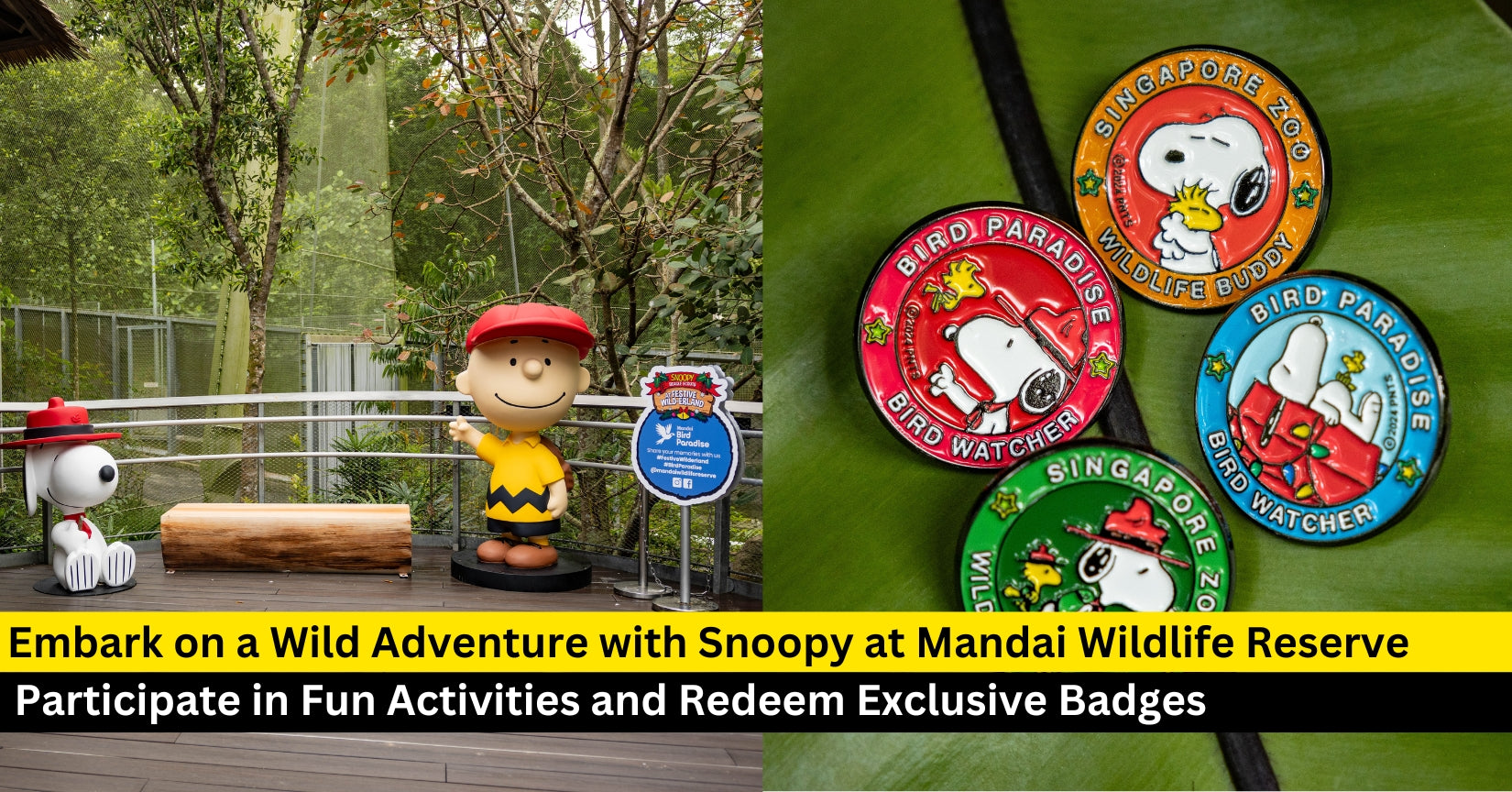 Embark on a Wild Adventure with Snoopy and Friends at Mandai Wildlife Reserve