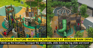 Nature-Inspired Playgrounds at Bidadari Park Drive