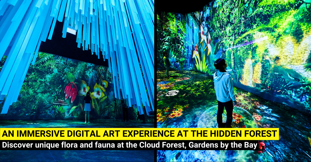 The Hidden Forest: Immersive Digital Art Experience At Cloud Forest, Gardens By The Bay