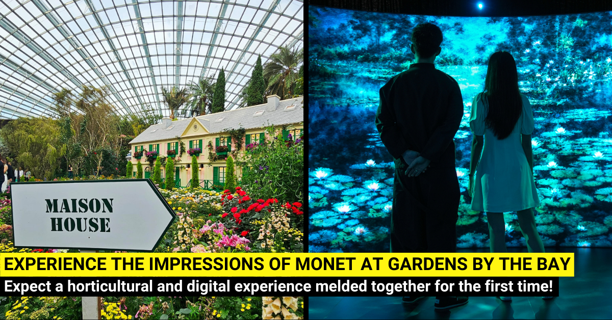 Impressions of Monet Opens at Gardens by the Bay with a Floral Display and Digital Experience