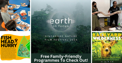 Earth in Focus: Singapore Nature Film Festival 2024 | Free Family-Friendly Programmes To Check Out