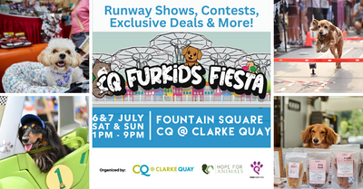 CQ Furkids Fiesta Returns This July With Dog Runway Shows, Contests And Exclusive Deals