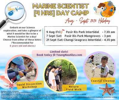 Young Nautilus 4-Hours Marine Scientist Day Camp