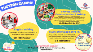 November & December Holiday Programme: Tuition + Fun Activities (K2 - P6)