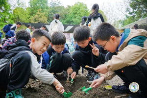 6D5N Chengdu Panda Family Tour - A Curated Experiential Learning Tour for Families