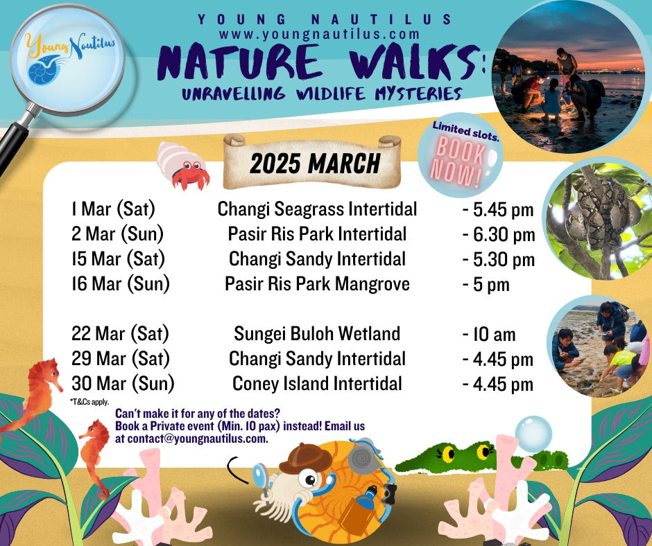 Young Nautilus 2-Hr Nature Walk Programmes from $56