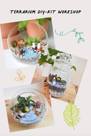 Terrariums DIY-Kit Workshop