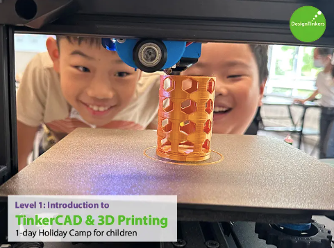 Level 1: Basic Introduction to TinkerCAD + 3D Printing 1-Day Holiday Camp