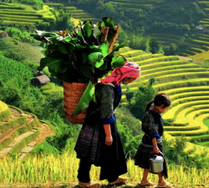 7-Day Family Adventure: Discovering Guizhou's Nature and Culture