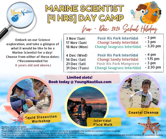 Young Nautilus 4-Hours Marine Scientist Day Camp