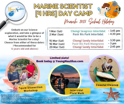 Young Nautilus 4-Hours Marine Scientist Day Camp