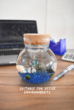 Volcanic Shrimp Aquarium DIY Kit