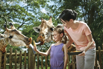 Singapore Zoo Tickets - Compare Best Prices Here!